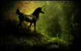 /album/galerie-photos/licornes-nature-png/